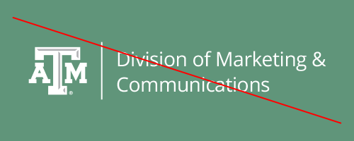 Crossed out example of a unit identity lockup using the White TAM Logo on a green background